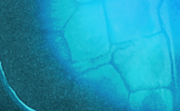 Clinical evidence summary Paediatric Gut Health & the 35624™ Probiotic Strain