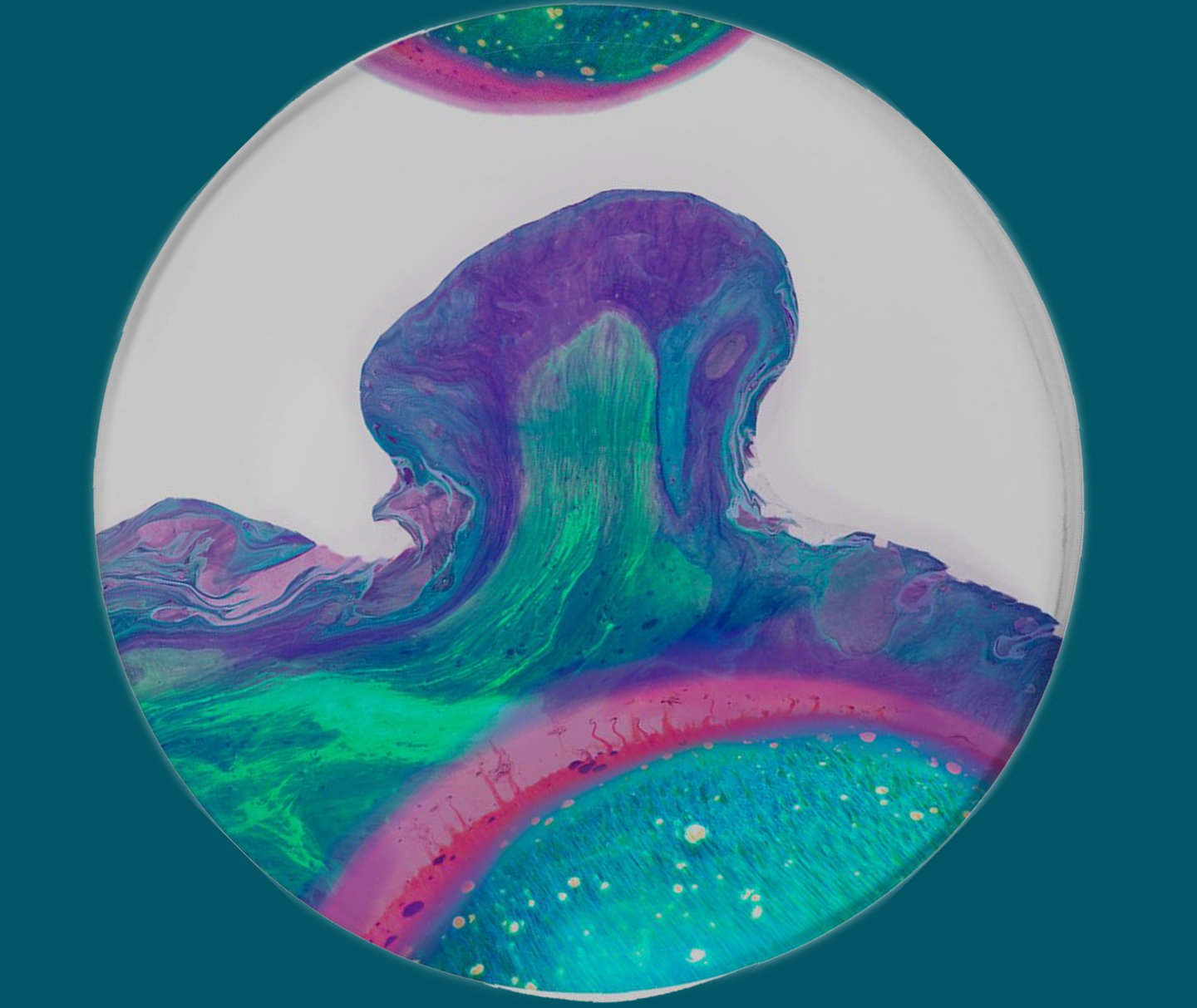 Newsletter background