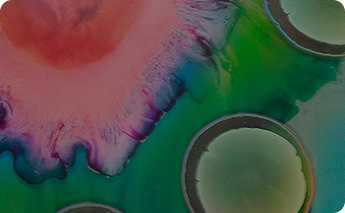Probiotics and Irritable Bowel Syndrome: International Guidelines & Expert Opinions